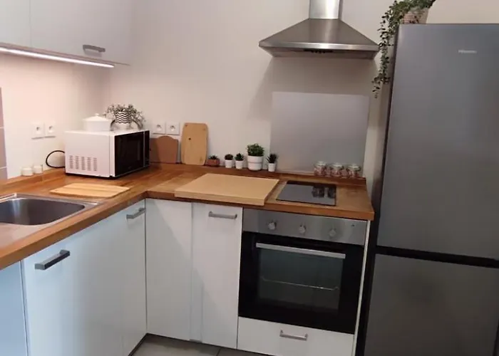 Les 2 Mansart Appartement Dijon